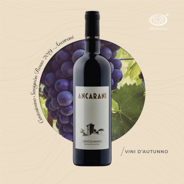 Centesimino Savignôn Rosso 2019 -Ancarani