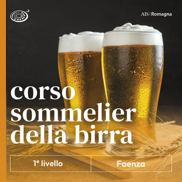 corso birra 1 livello 2024