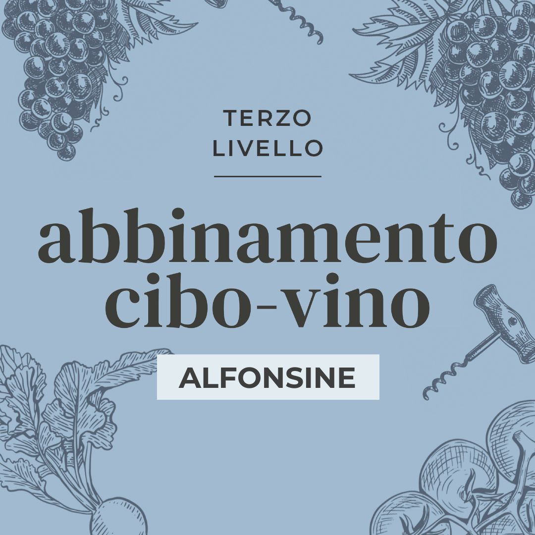 3° livello – Alfonsine 2025