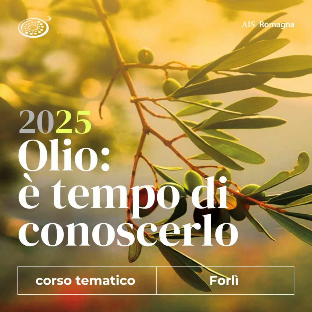 Corso olio-AIS FORLI 2025